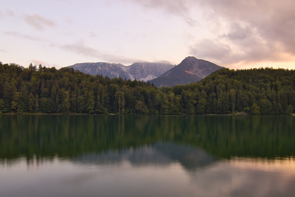 green trees near lake under white clouds during daytime