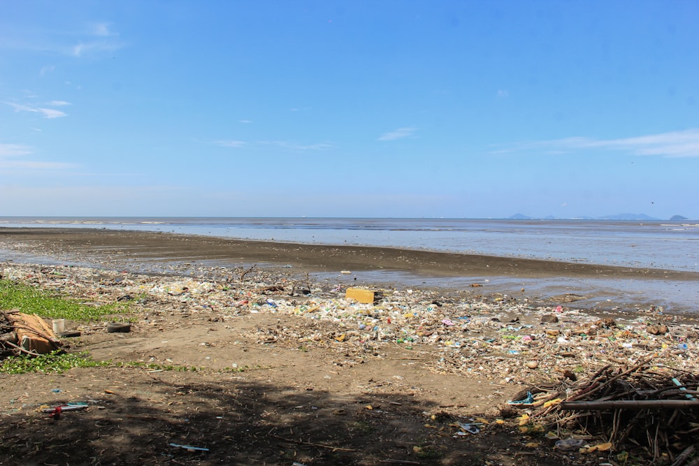 arena marrón cerca del cuerpo de agua durante el día