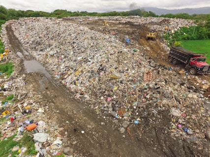 people on beach during daytime