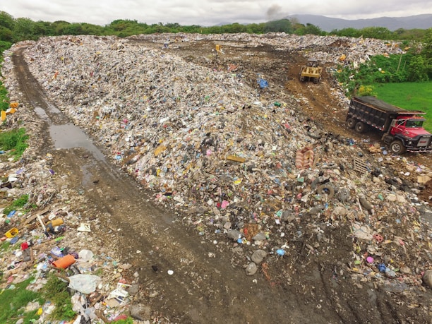 people on beach during daytime