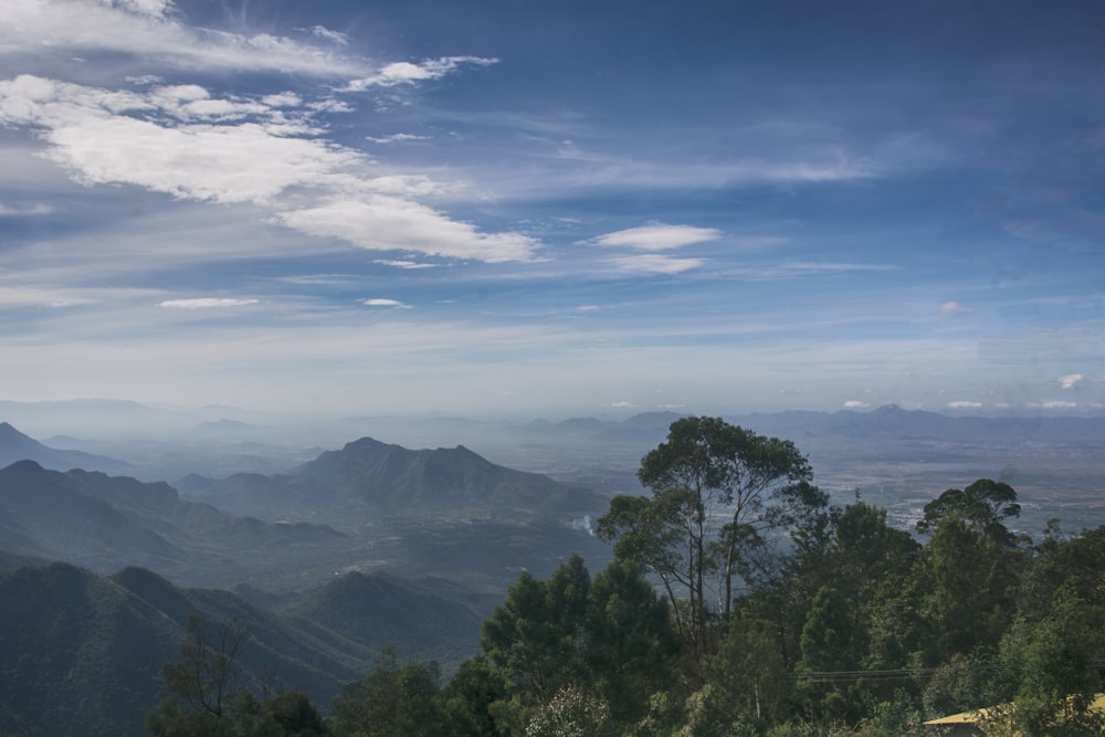 green trees on mountain under blue sky during daytime