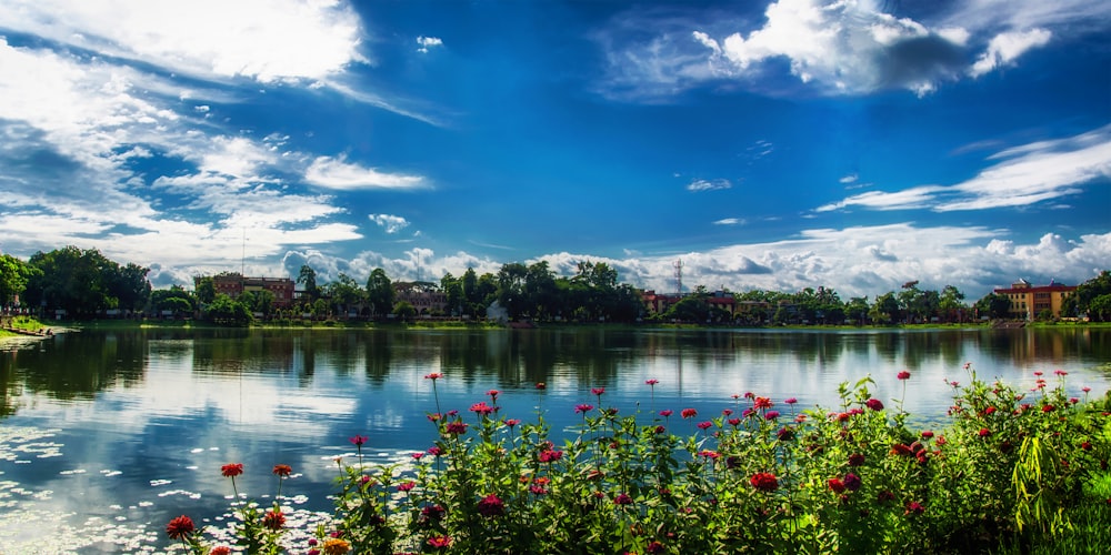 green trees near lake under blue sky during daytime