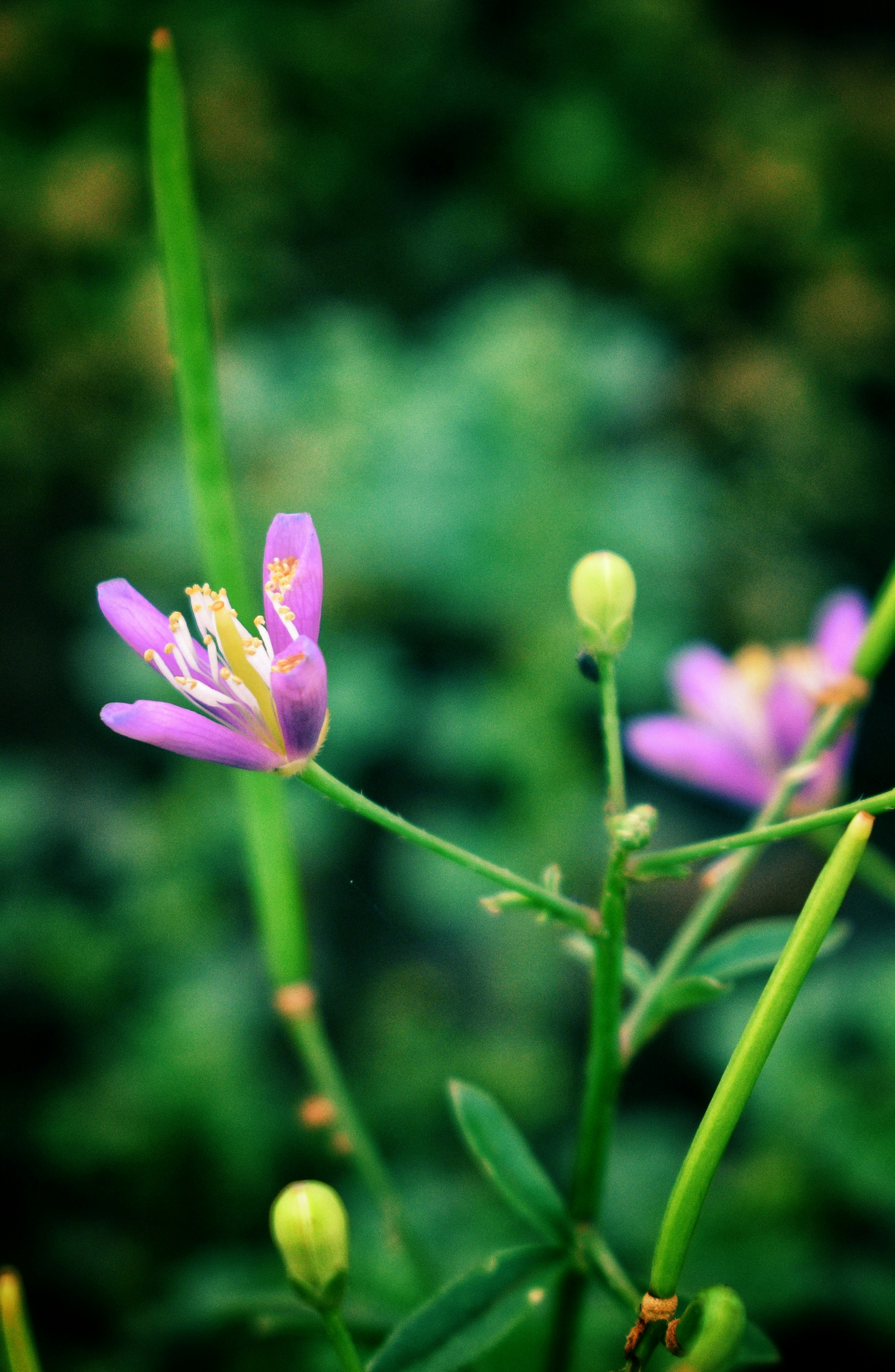 Photo by atomsmasher