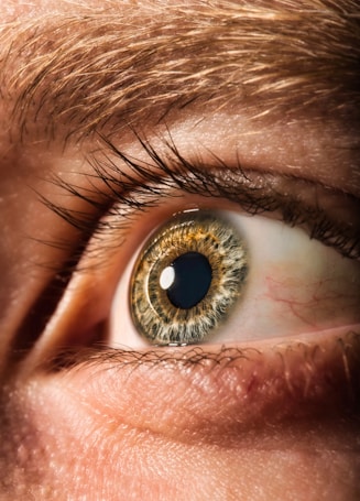 A close-up view of a human eye featuring intricate details of the iris with green and brown tones. The eyelashes and eyebrow are clearly visible, with slight redness in the whites of the eye.