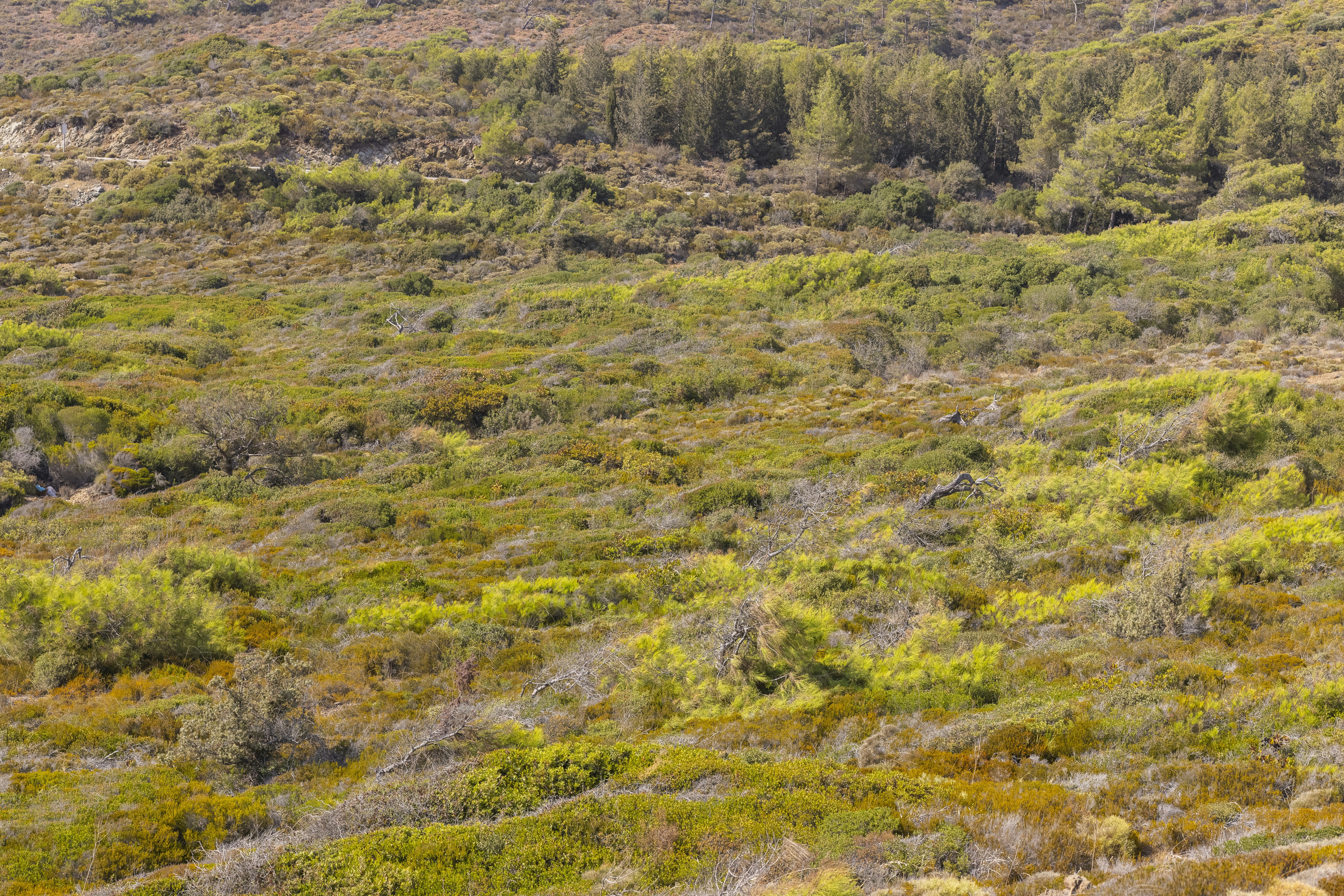 Photo by enginakyurt