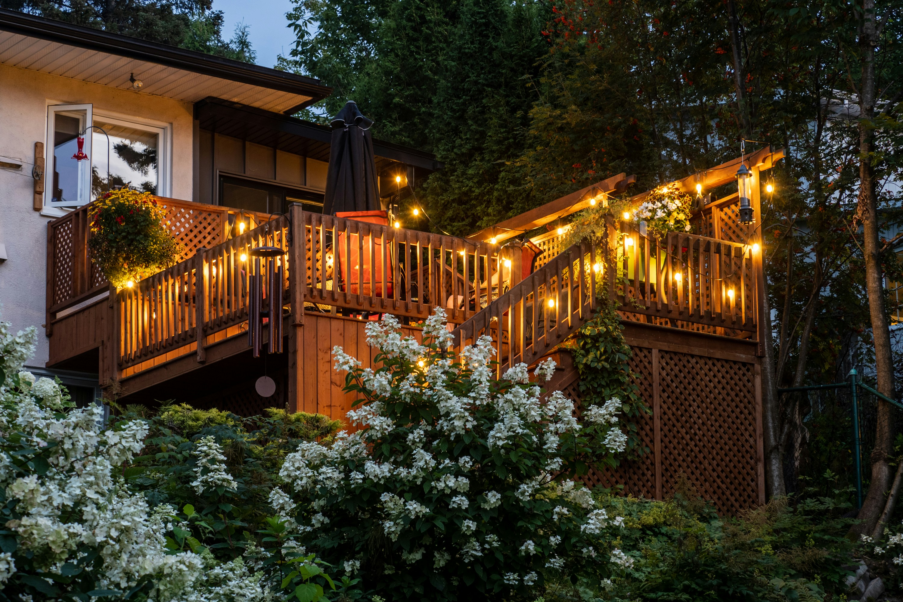 brown wooden bridge surrounded by green trees during night time