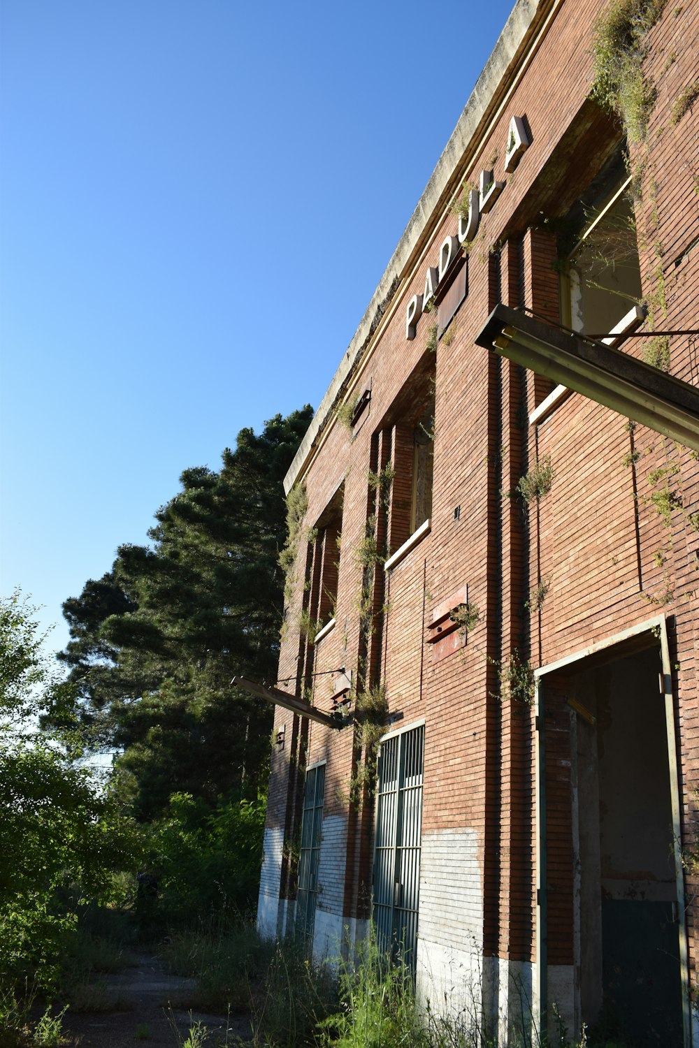 brown concrete building near green trees during daytime