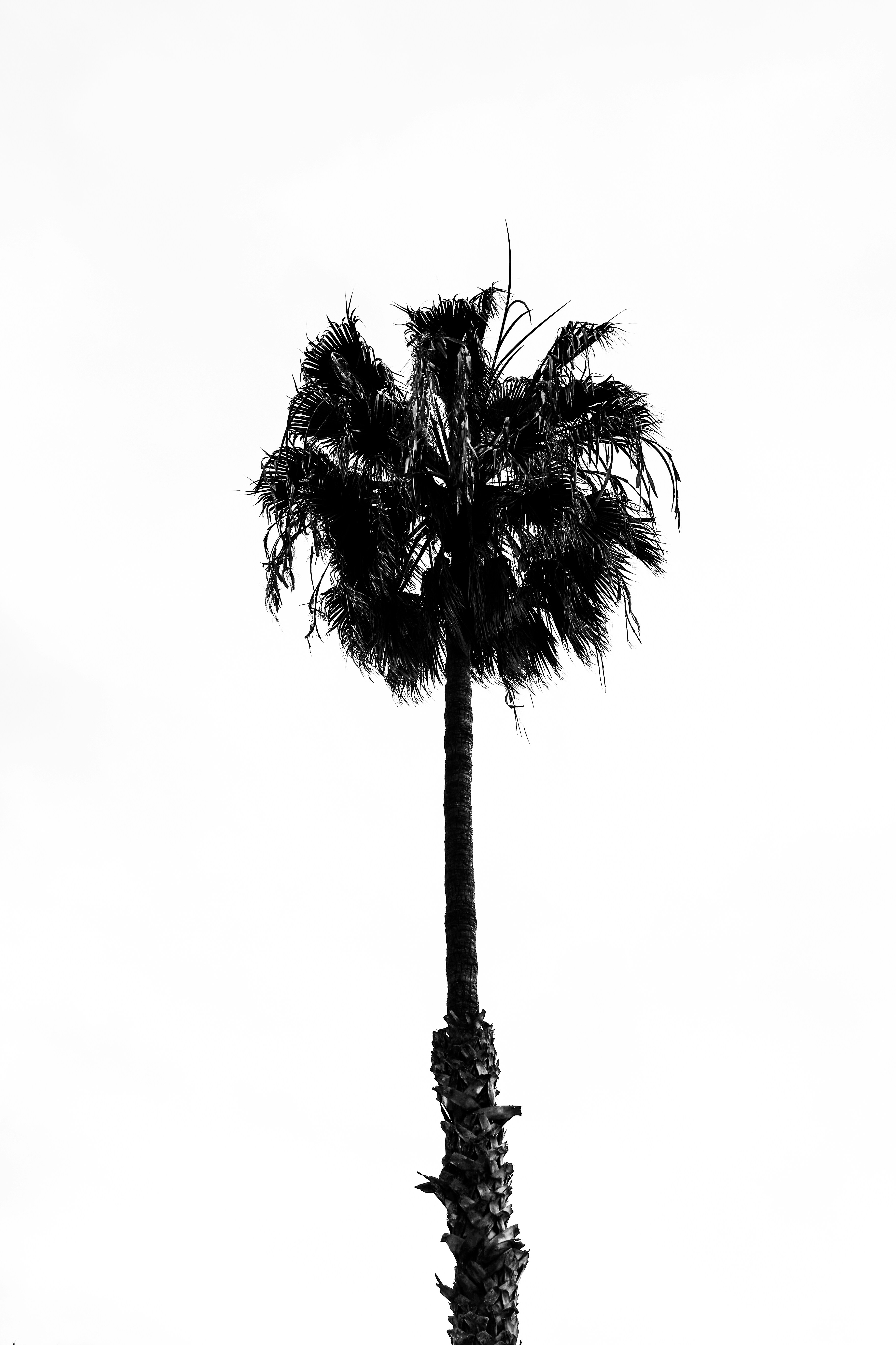 Photo by reednaliboff