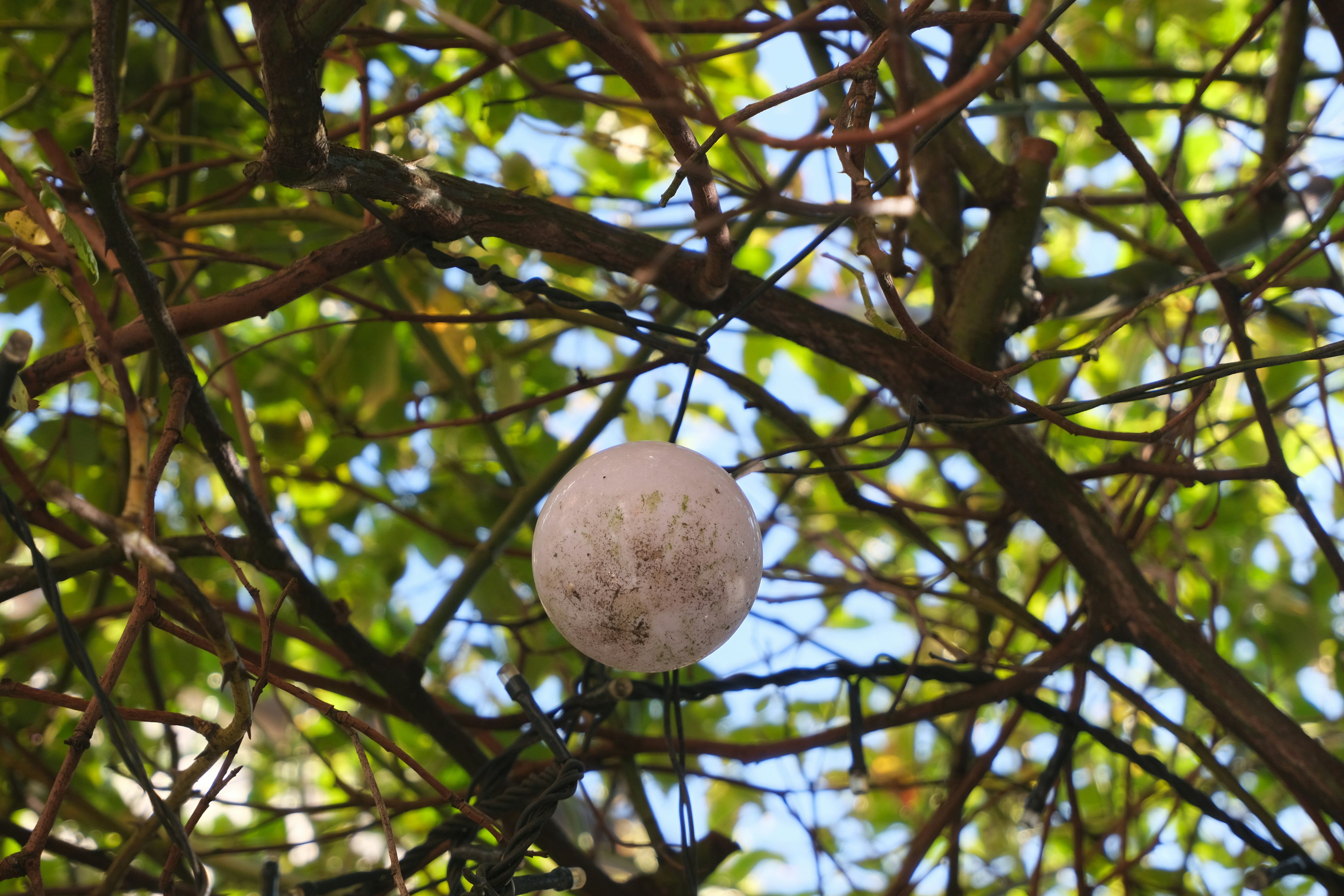 Photo by jack_barton