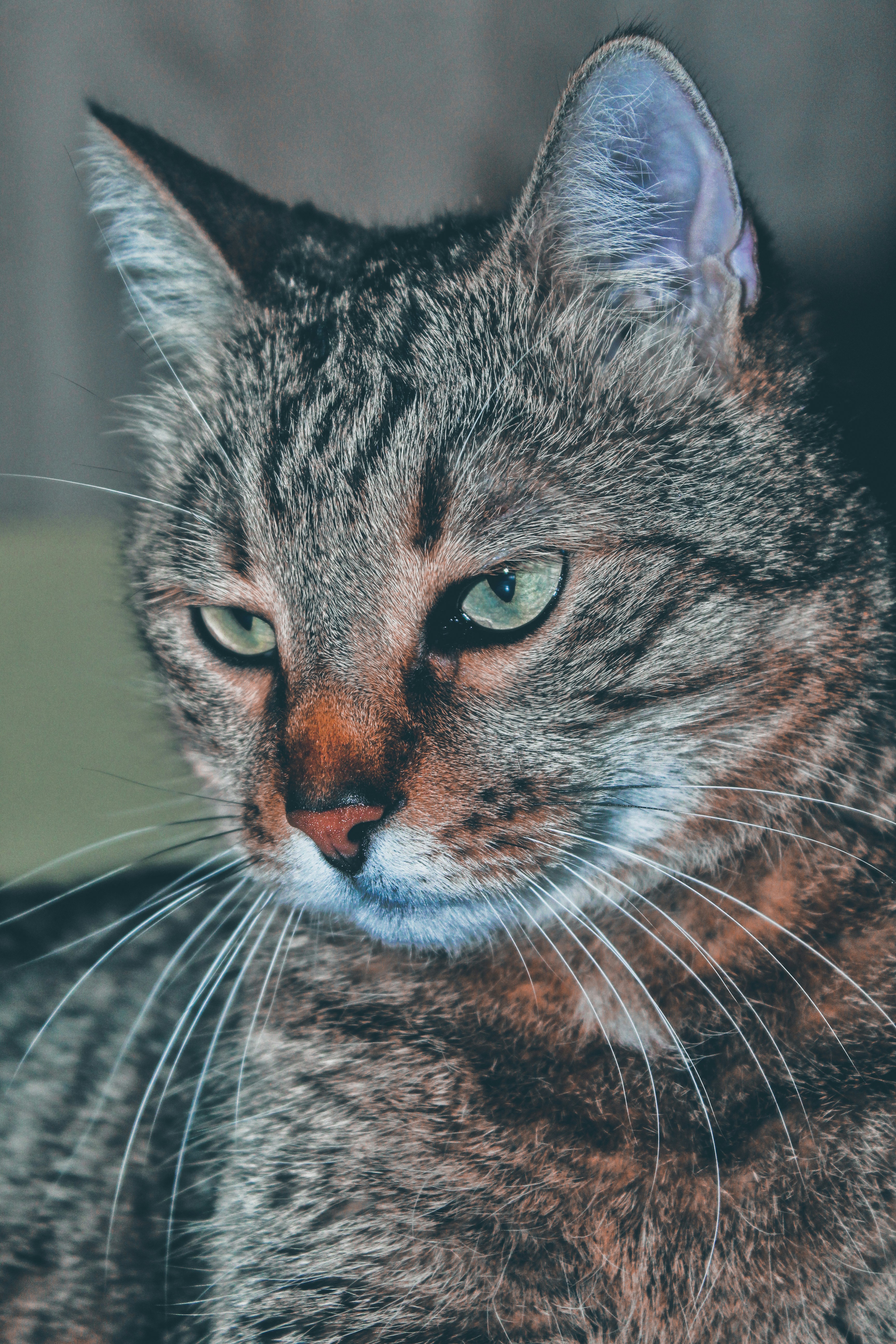 Photo by stiliyan1107