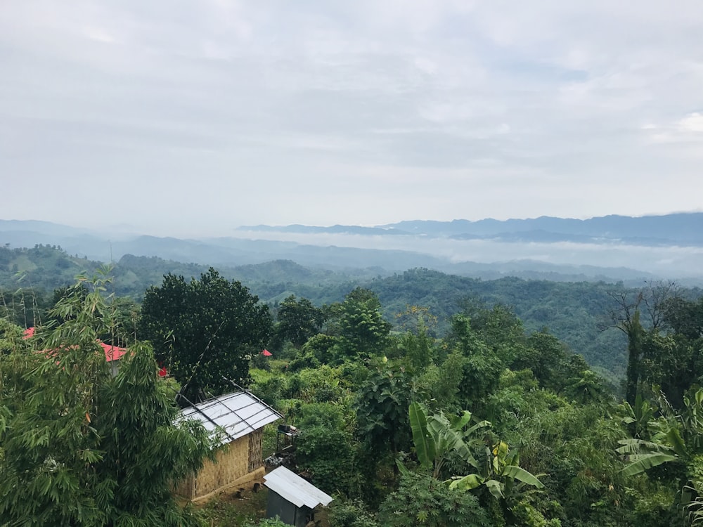 green trees and mountains under white sky during daytime