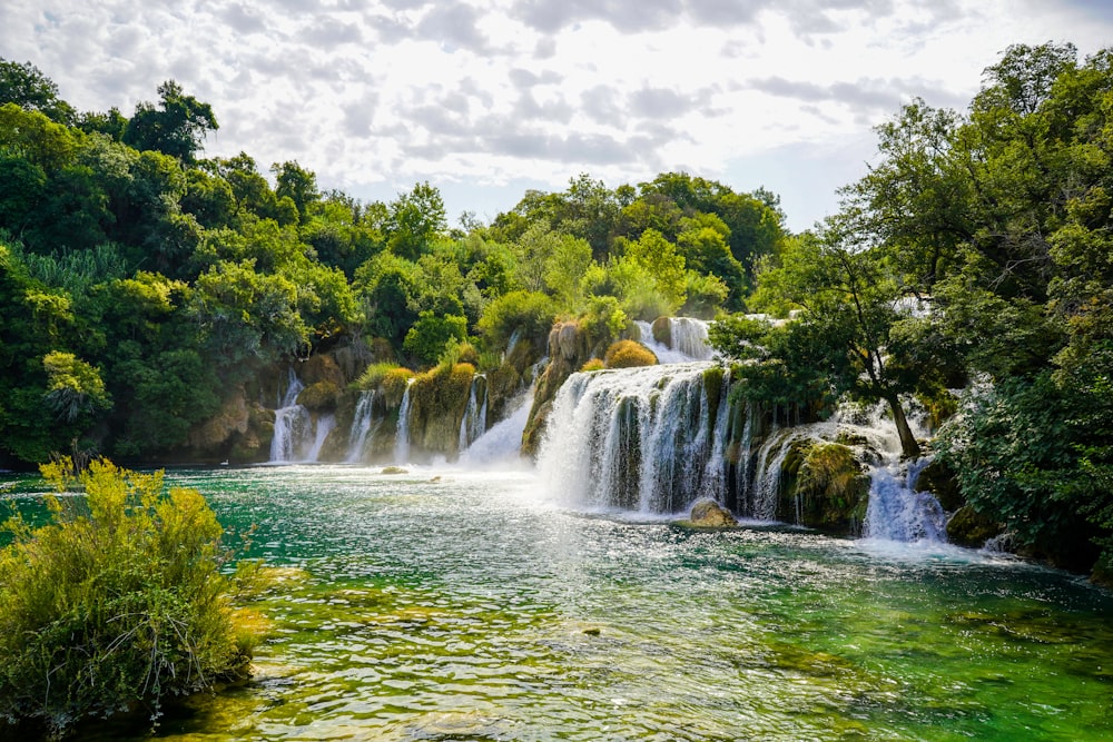 Cascate vicino agli alberi verdi sotto le nuvole bianche durante il giorno