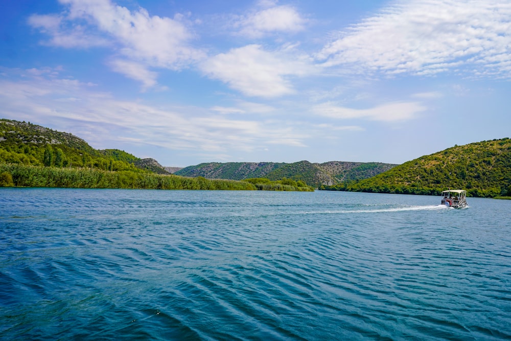 green trees beside body of water under blue sky during daytime