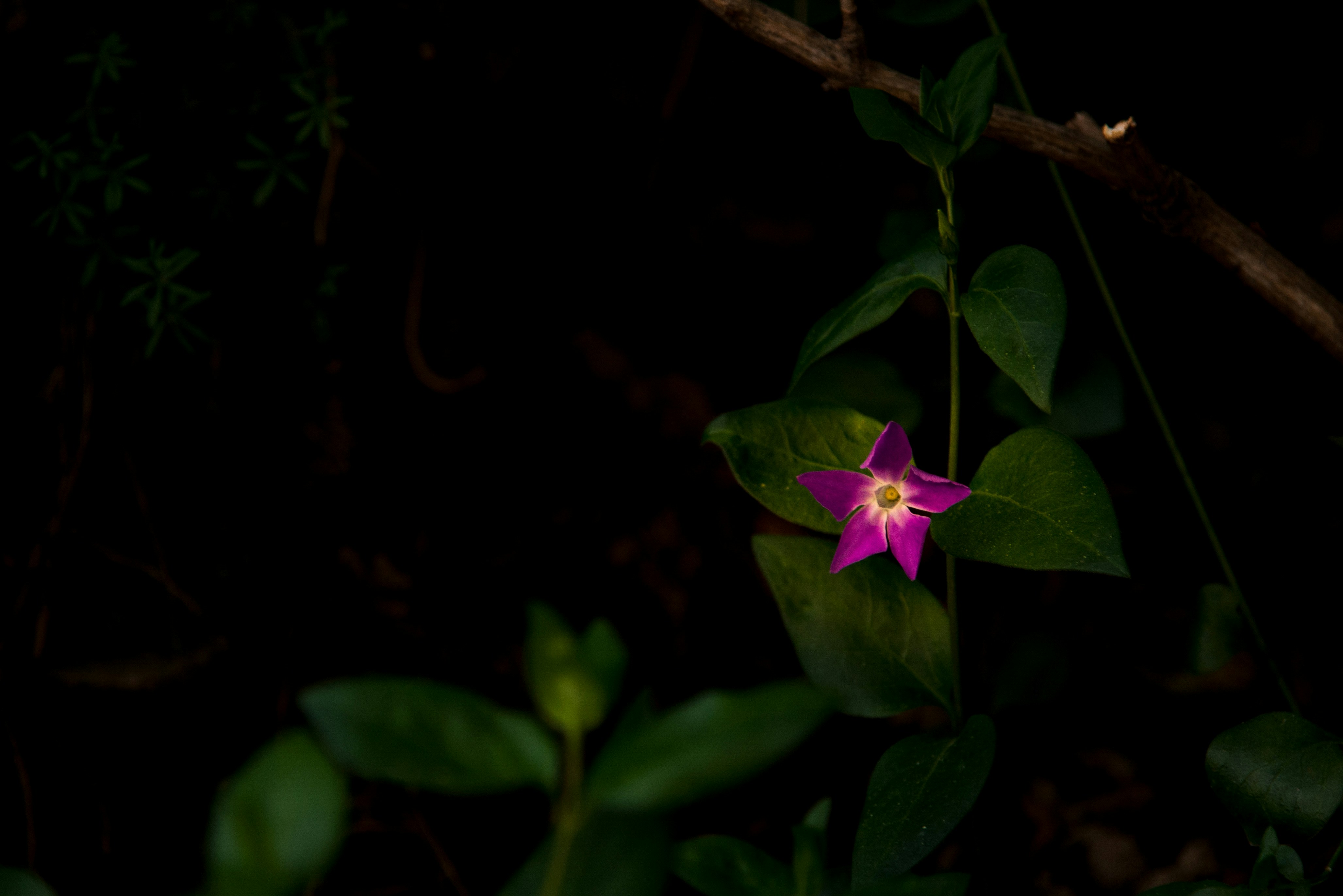 Photo by rishabhdharmani