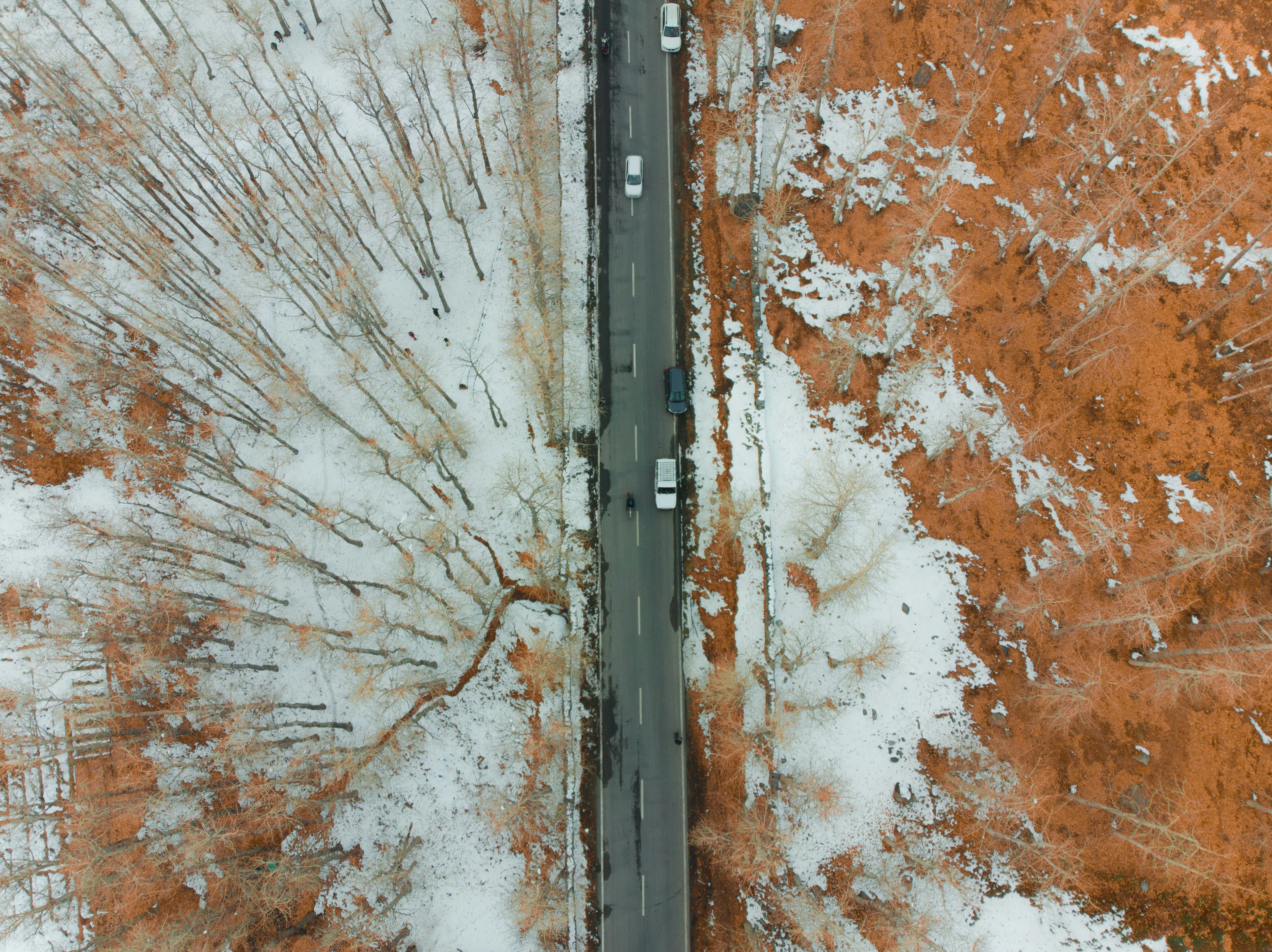 Photo by rishabhdharmani