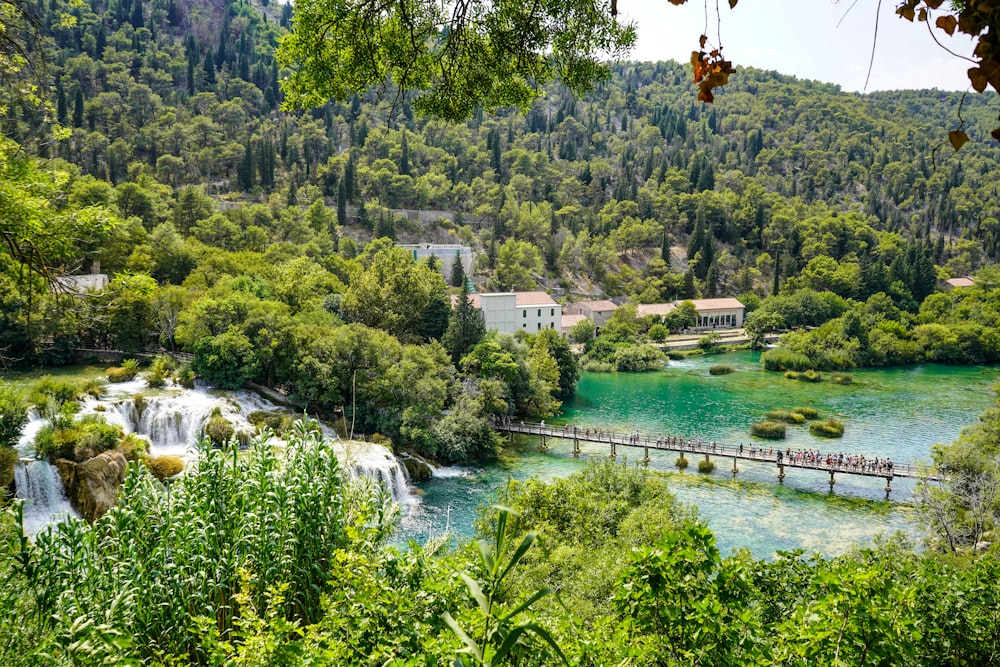 alberi verdi vicino allo specchio d'acqua durante il giorno