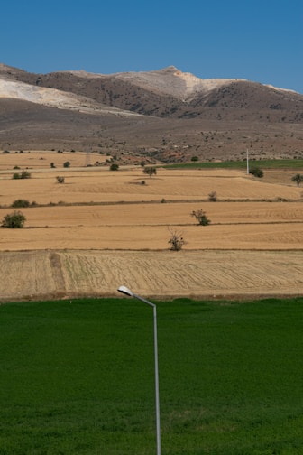 green grass field near mountain during daytime