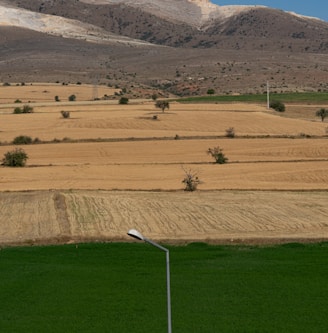 green grass field near mountain during daytime