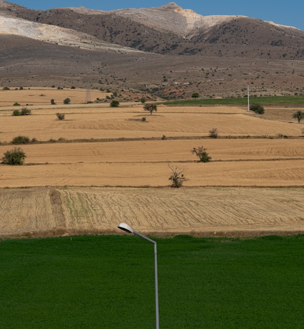 green grass field near mountain during daytime