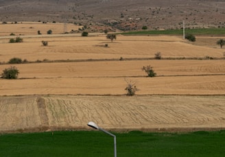 green grass field near mountain during daytime