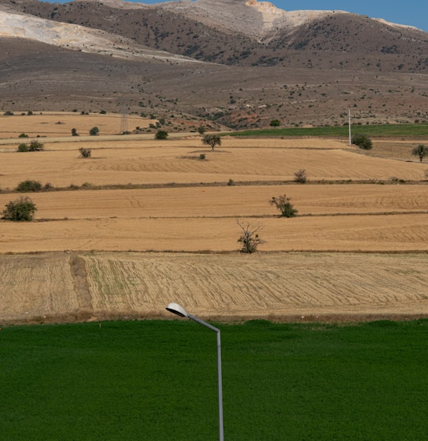 green grass field near mountain during daytime