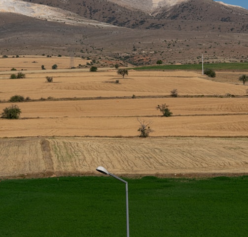 green grass field near mountain during daytime