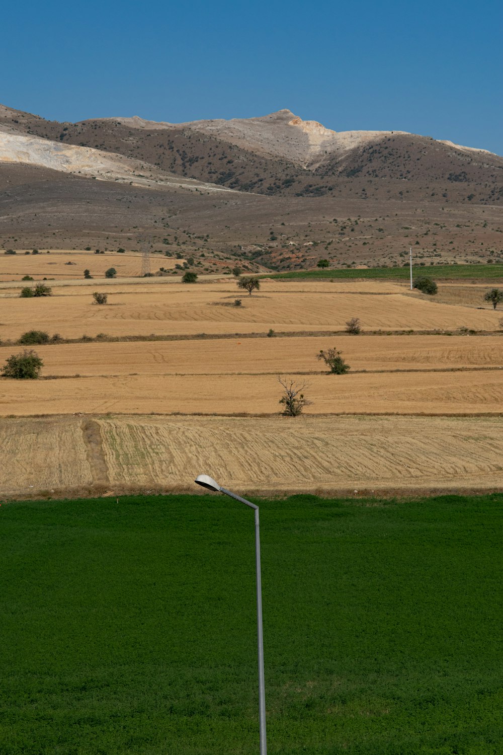 campo de grama verde perto da montanha durante o dia