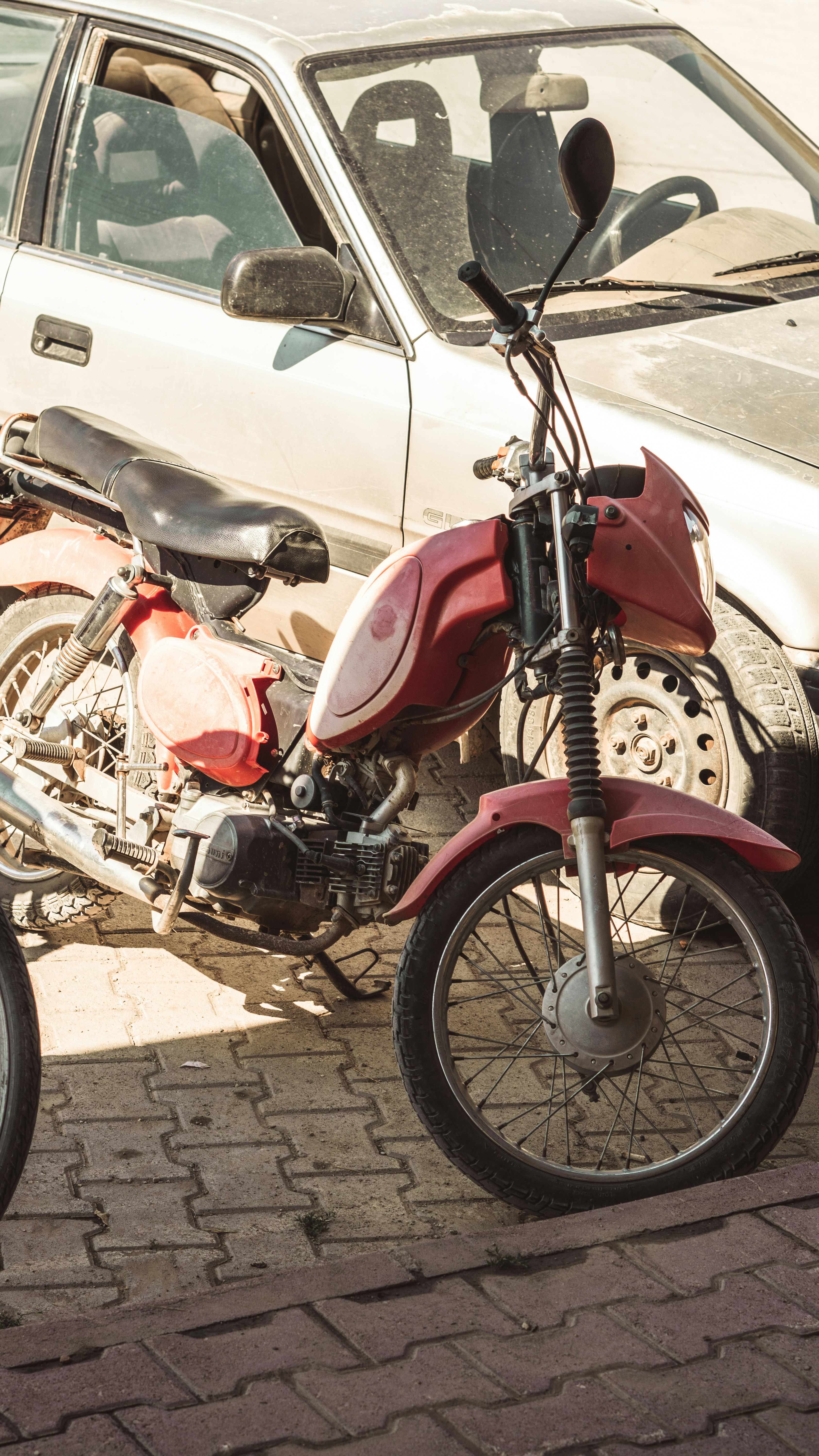 Photo by moonlightshotz