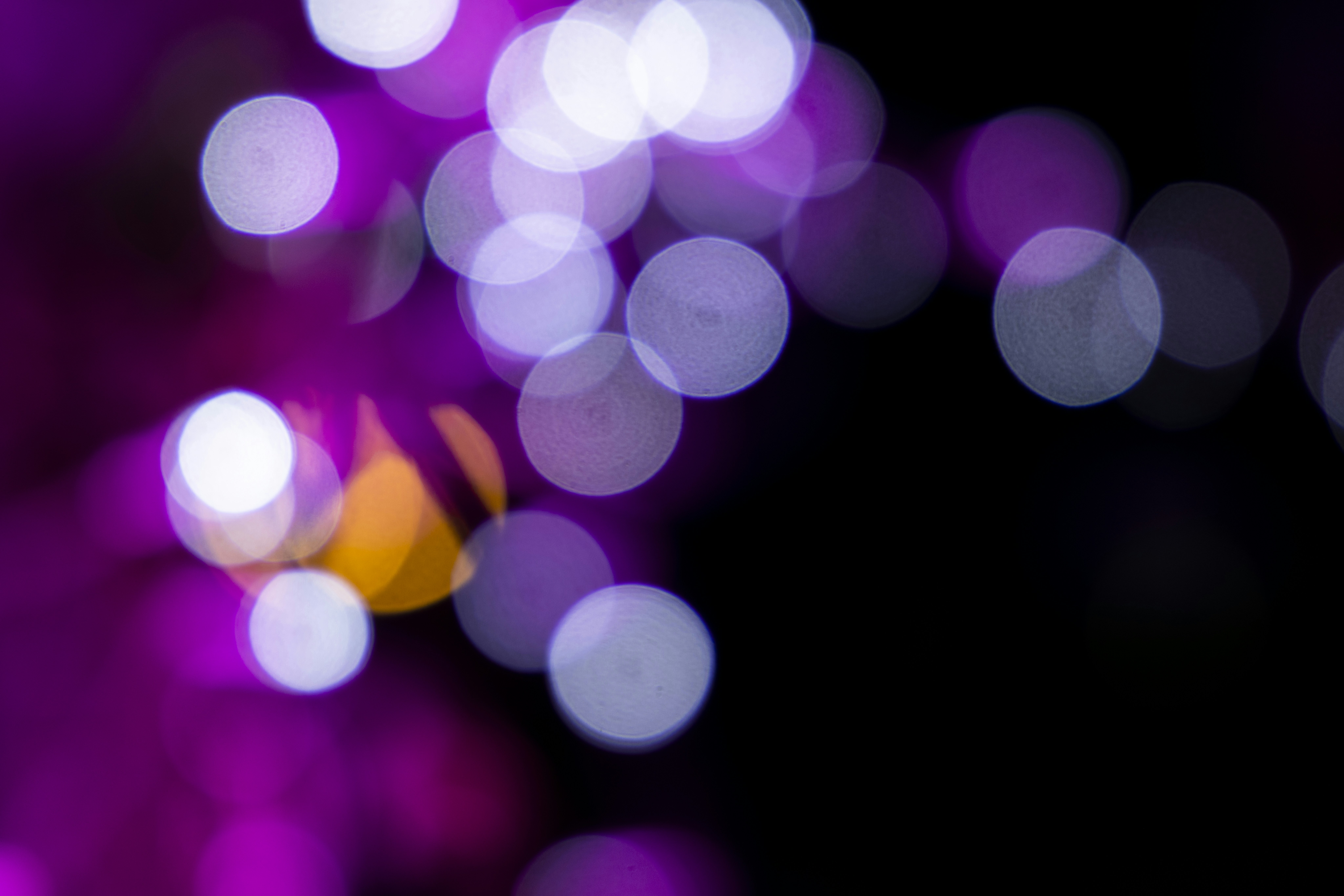 Photo by enginakyurt