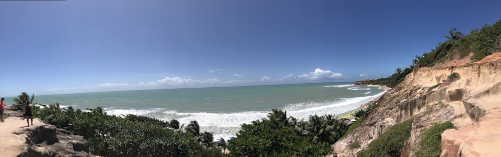 green trees near sea during daytime