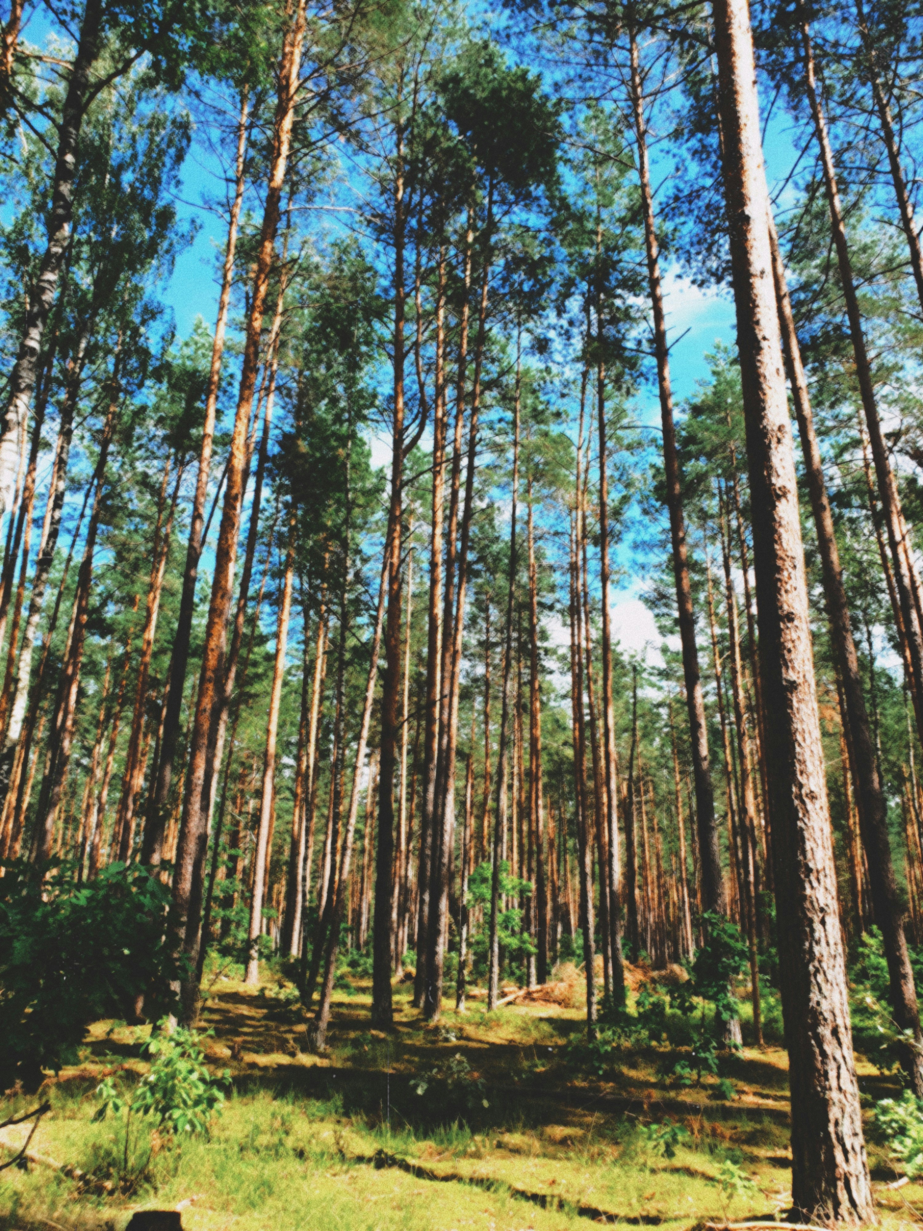 Photo by dromomaniact