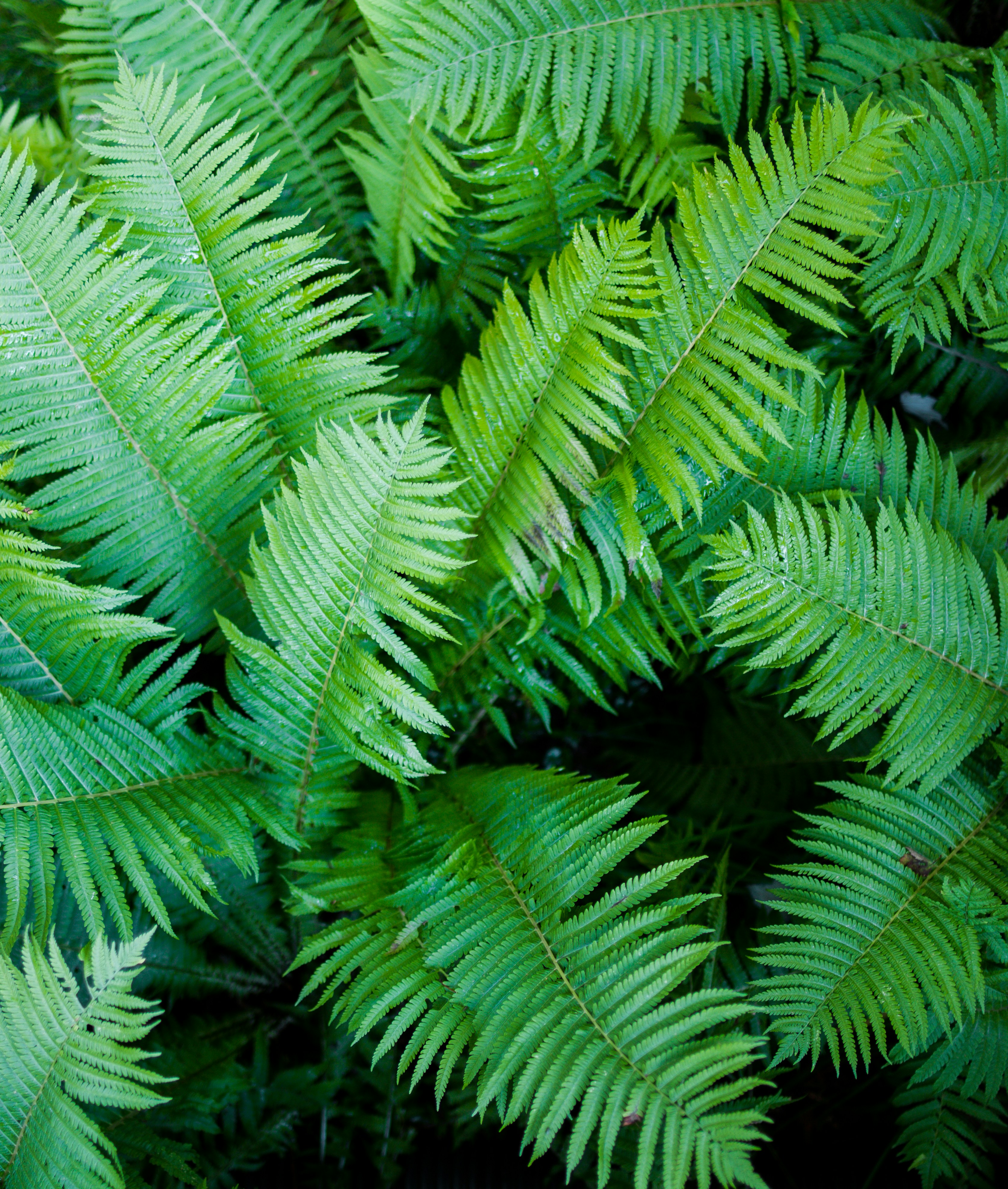 Photo by hayleymurrayphoto