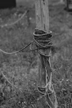 grayscale photo of rope tied on wooden post