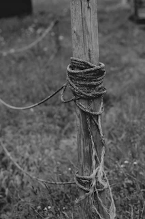 grayscale photo of rope tied on wooden post