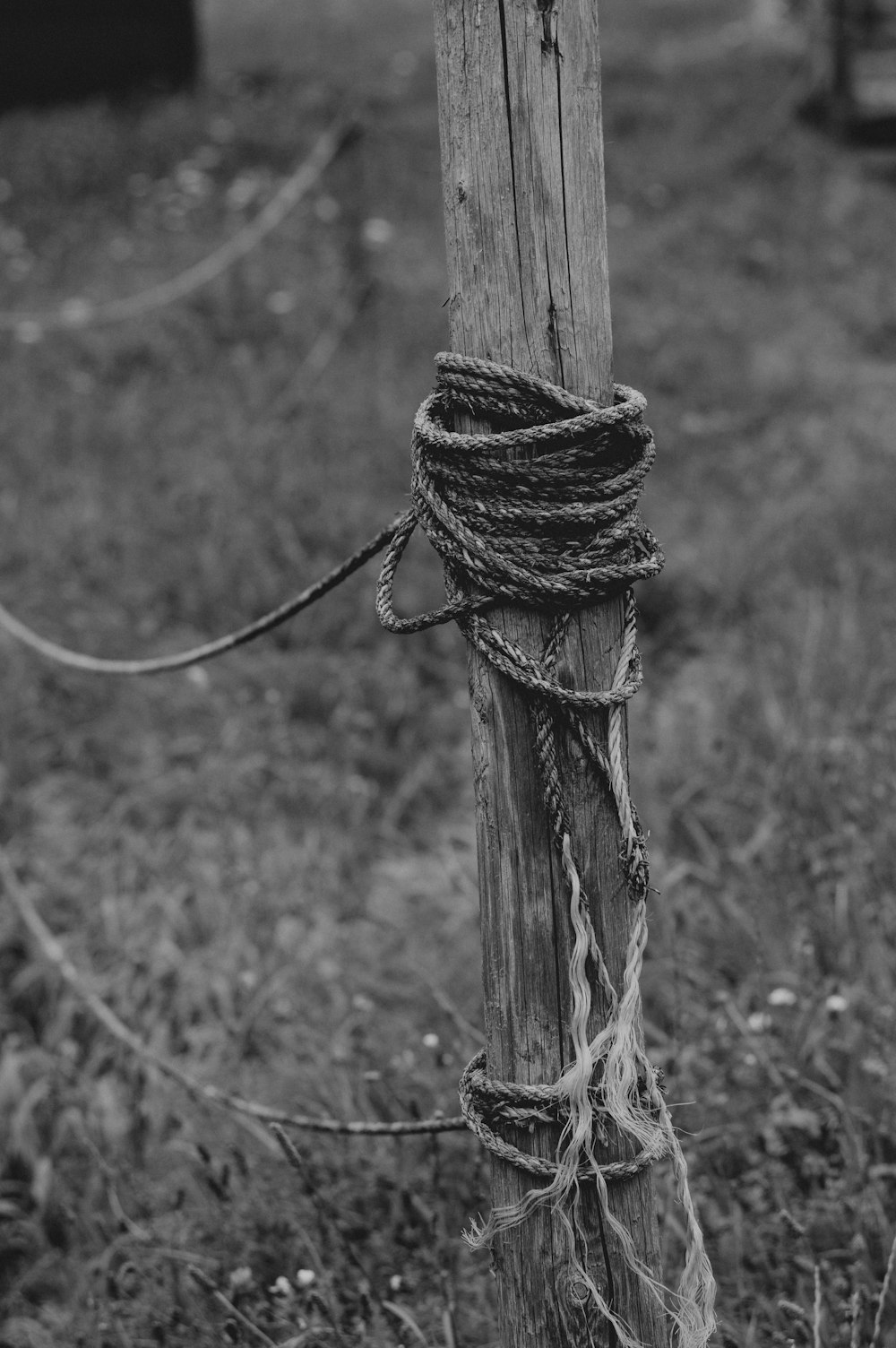 grayscale photo of rope tied on wooden post