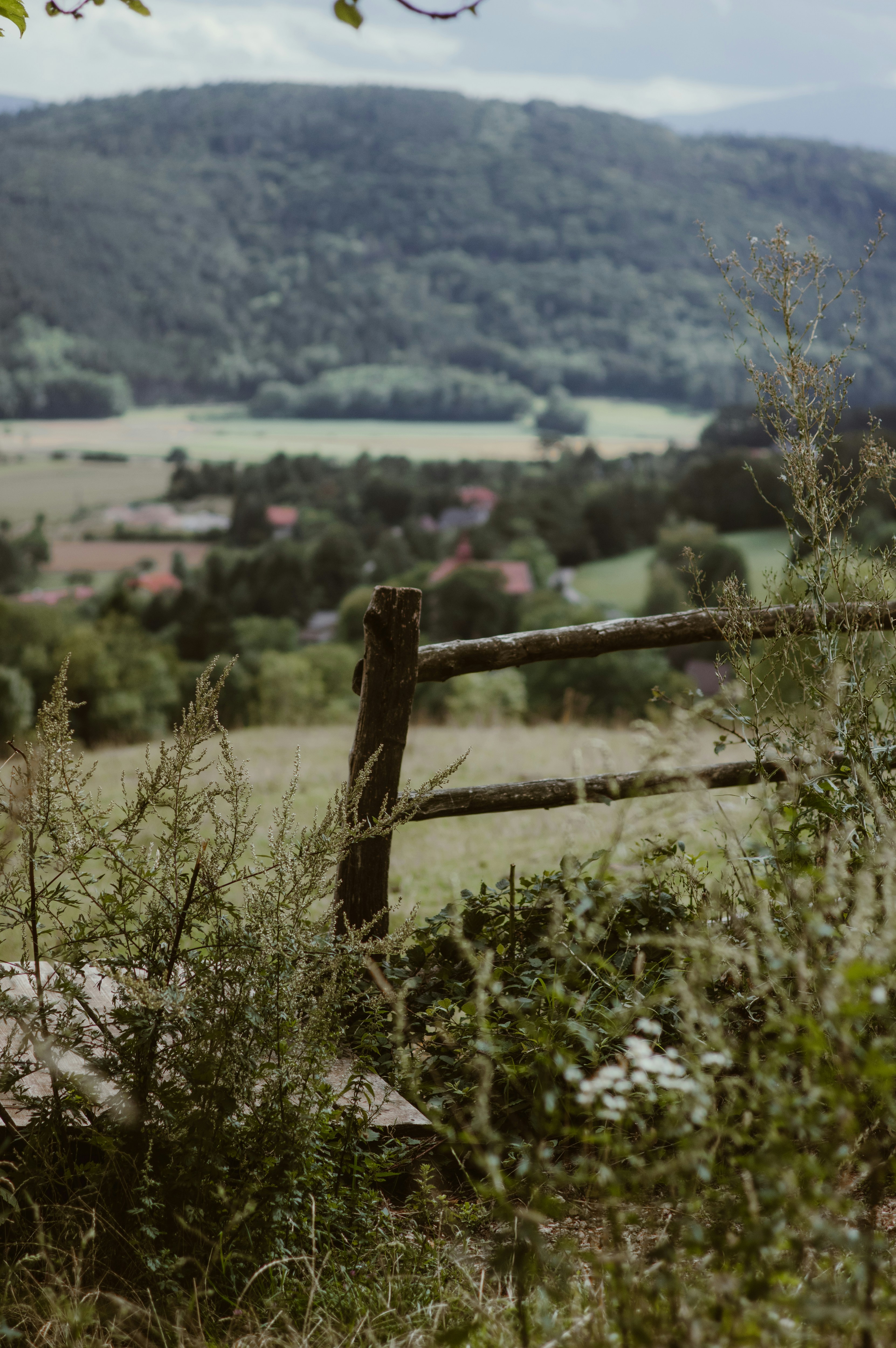 Photo by contentadora