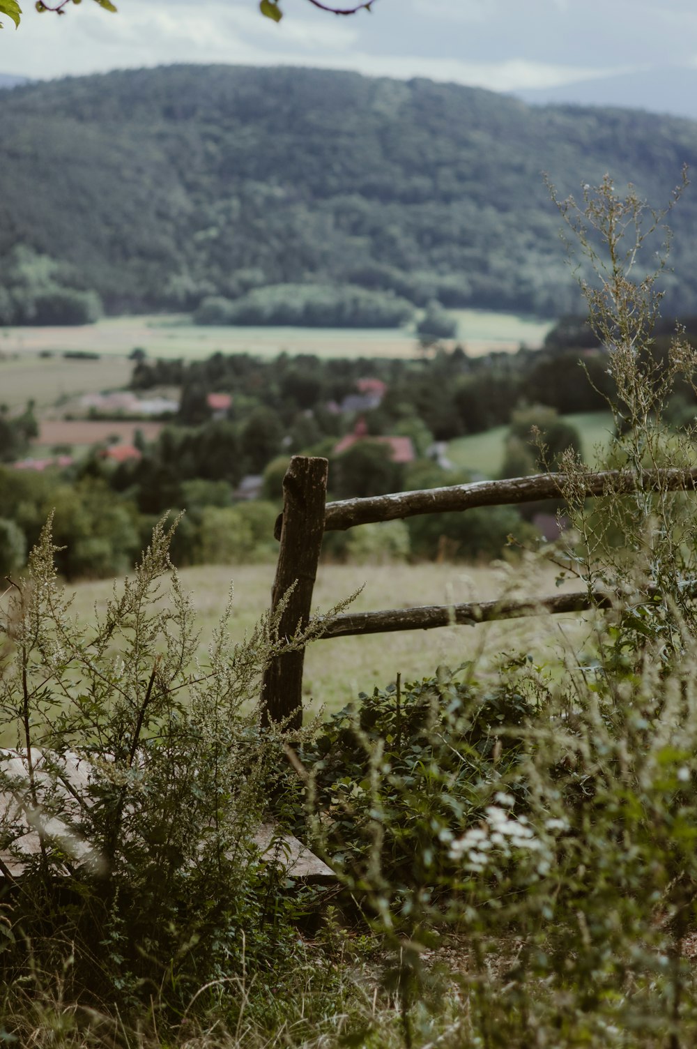 brown wooden fence on green grass field during daytime