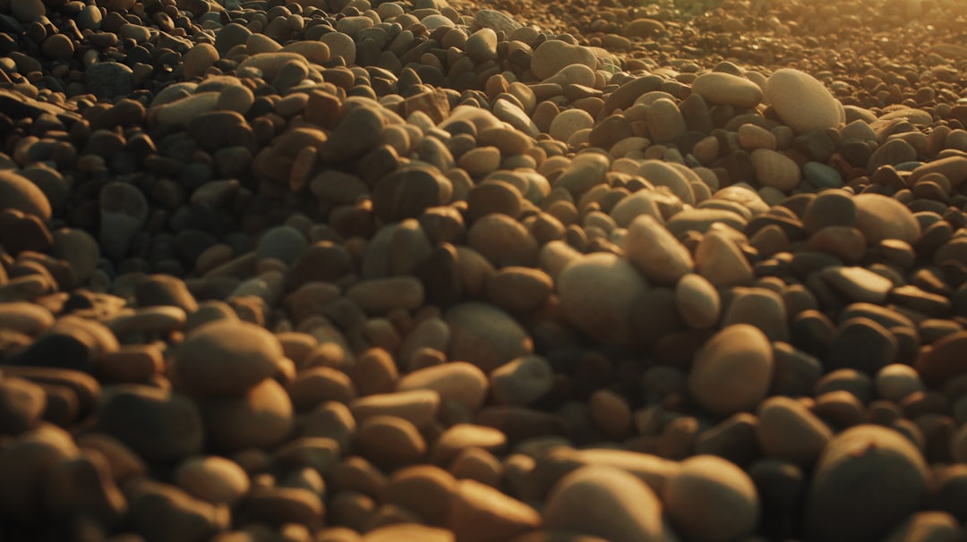 brown and gray stones on brown sand during daytime