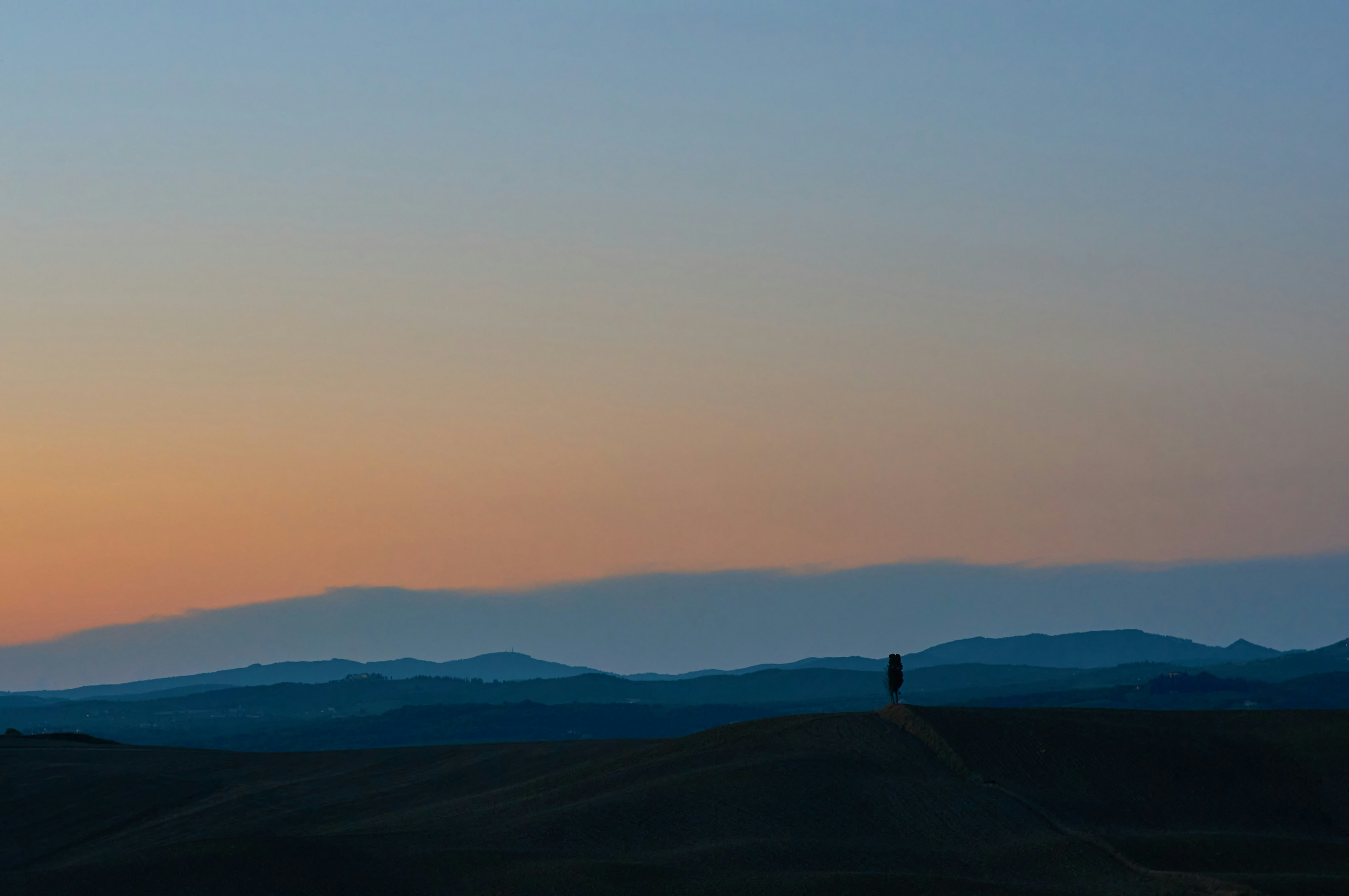 Photo by wolfgang_hasselmann