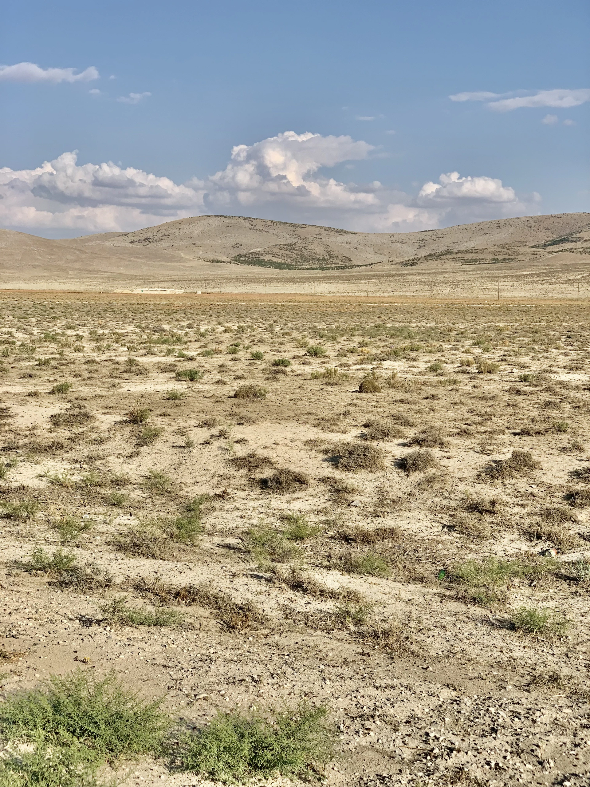 brown field under blue sky during daytime