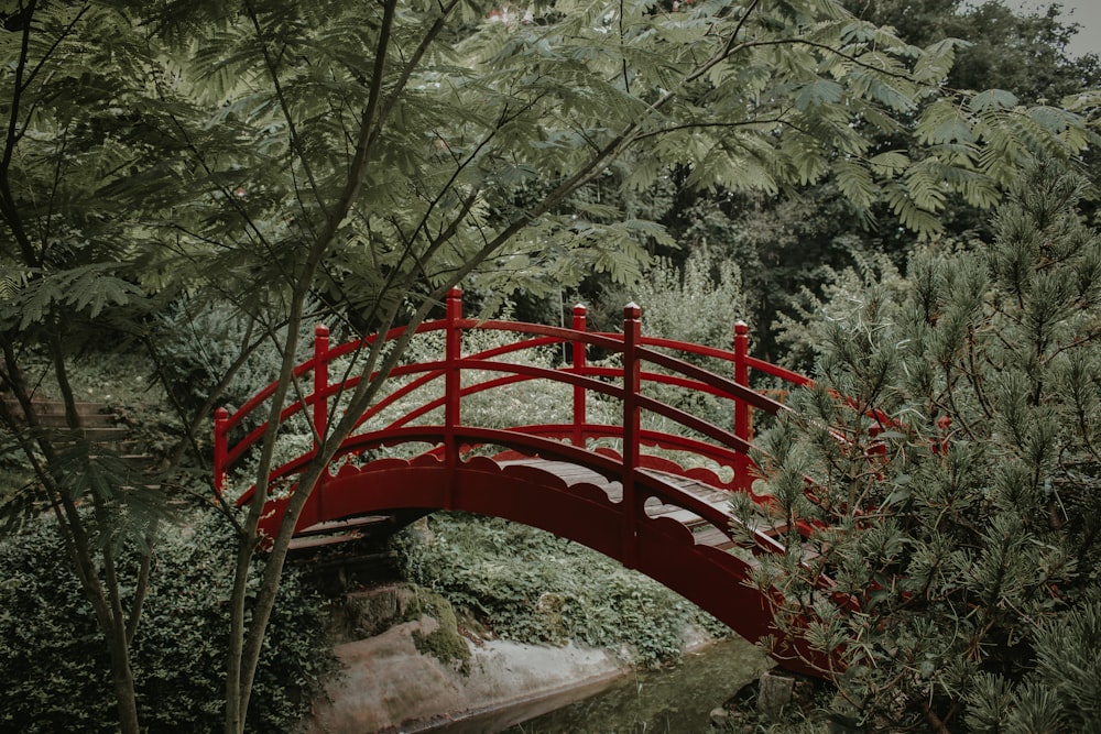 red metal bridge over river