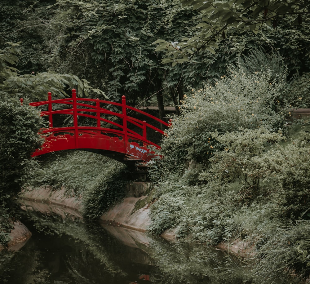 red wooden bridge over river