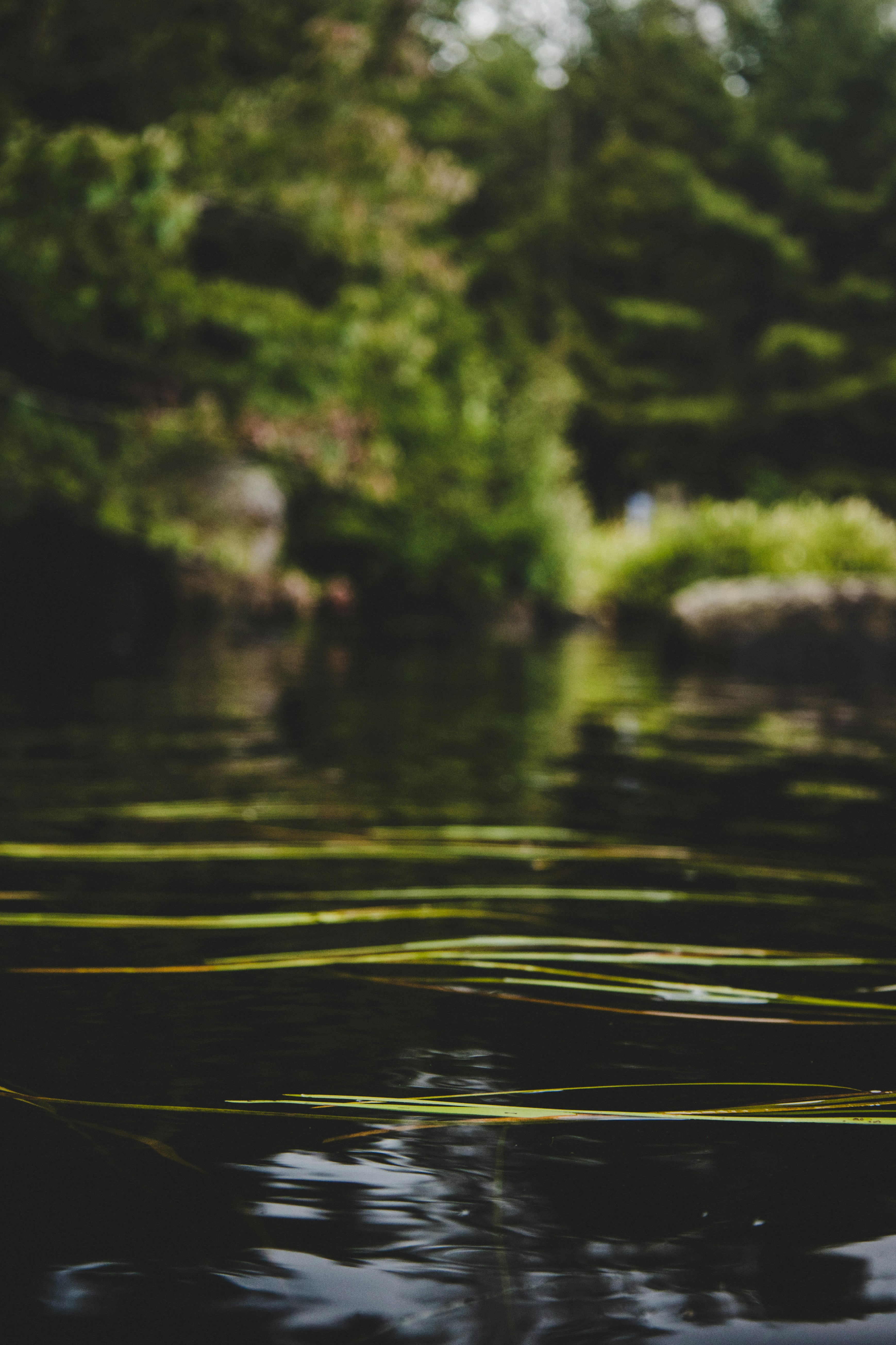 Photo by yassine_khalfalli