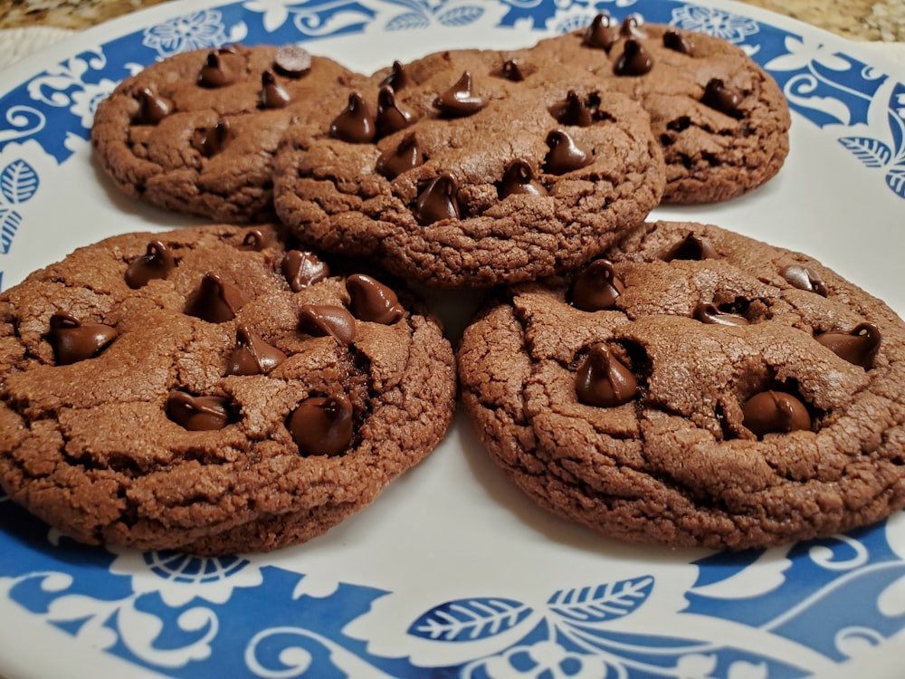 cookies on white and blue ceramic plate