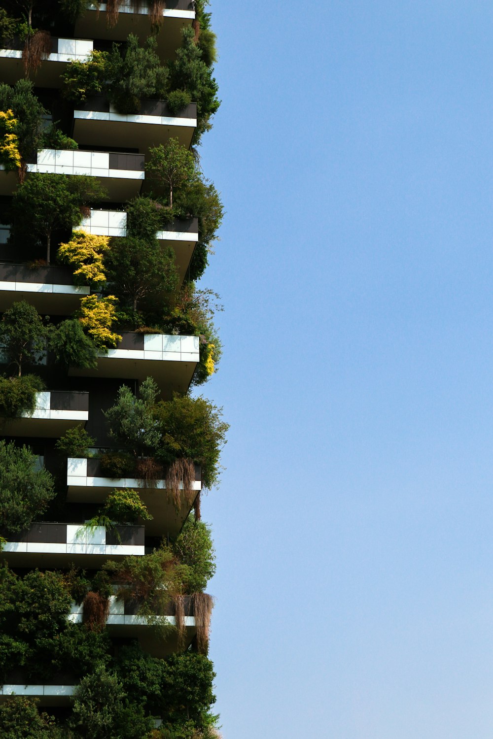 green trees near white concrete building during daytime