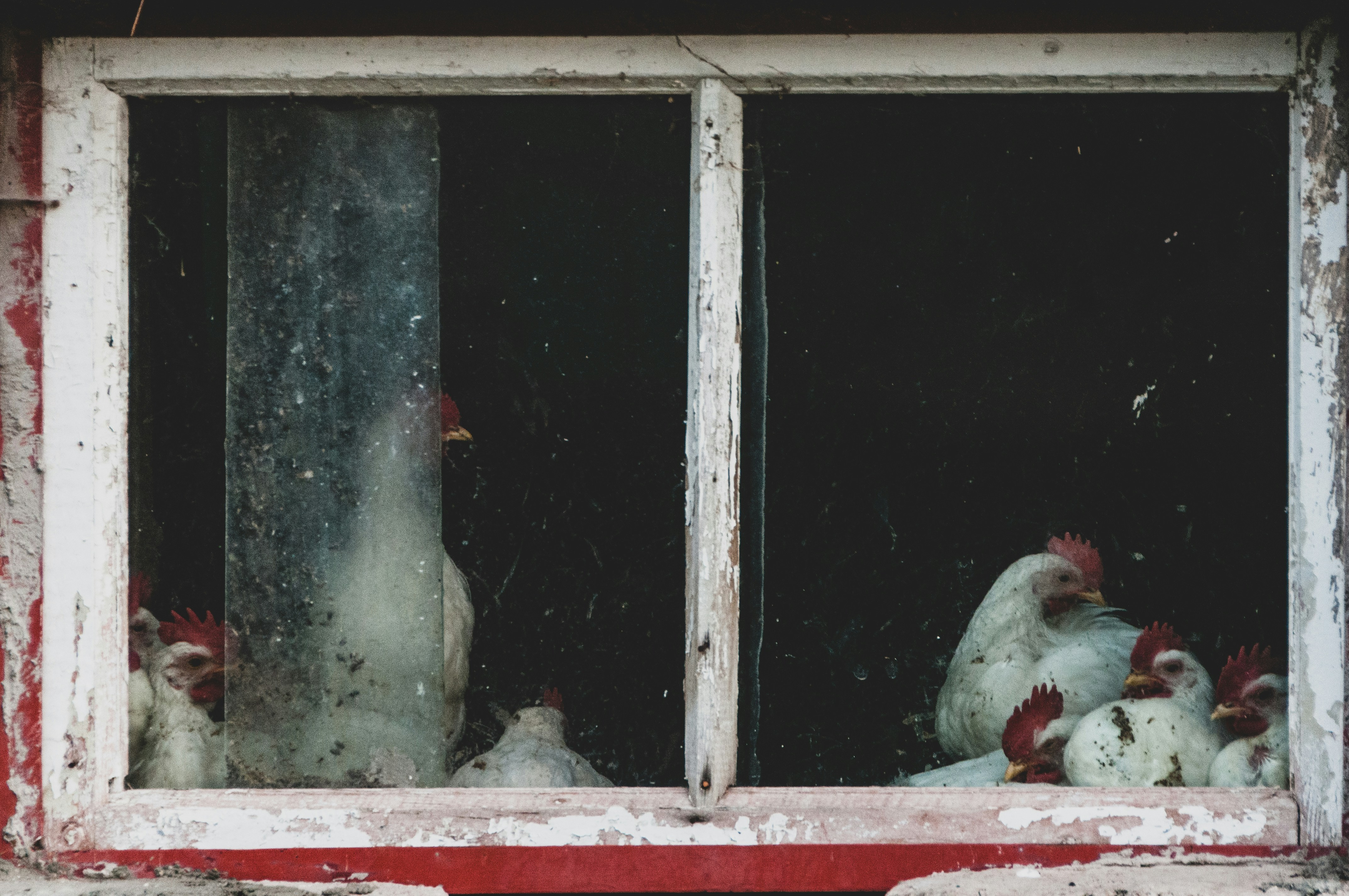 Photo by aniadigyozalyan