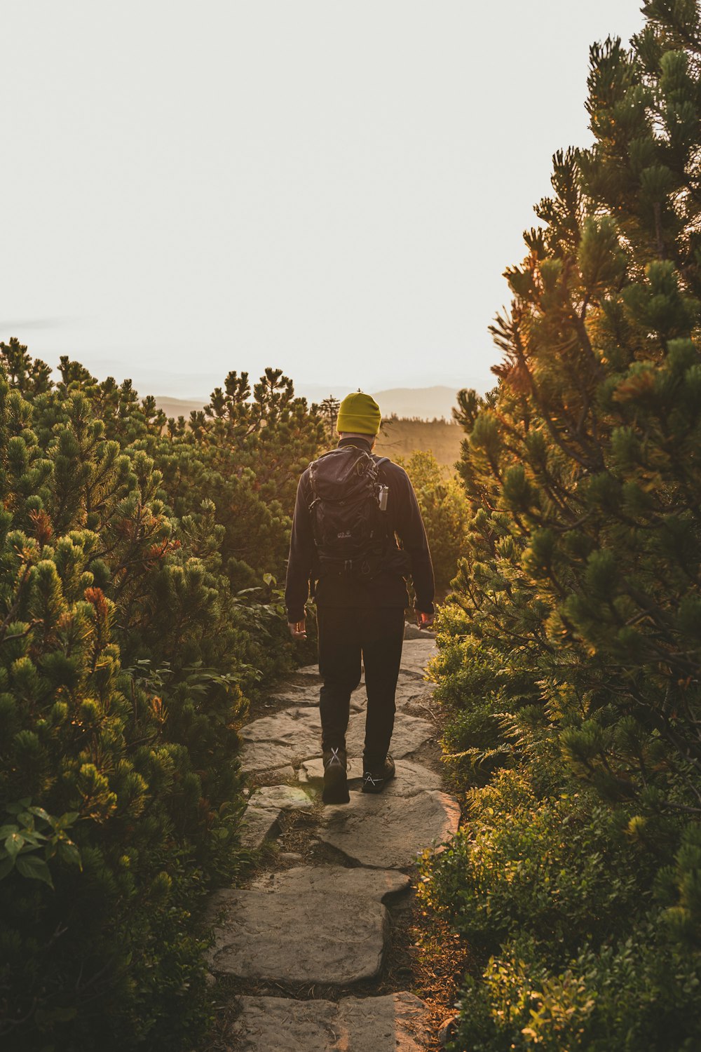 man in black jacket walking on pathway between green plants during daytime