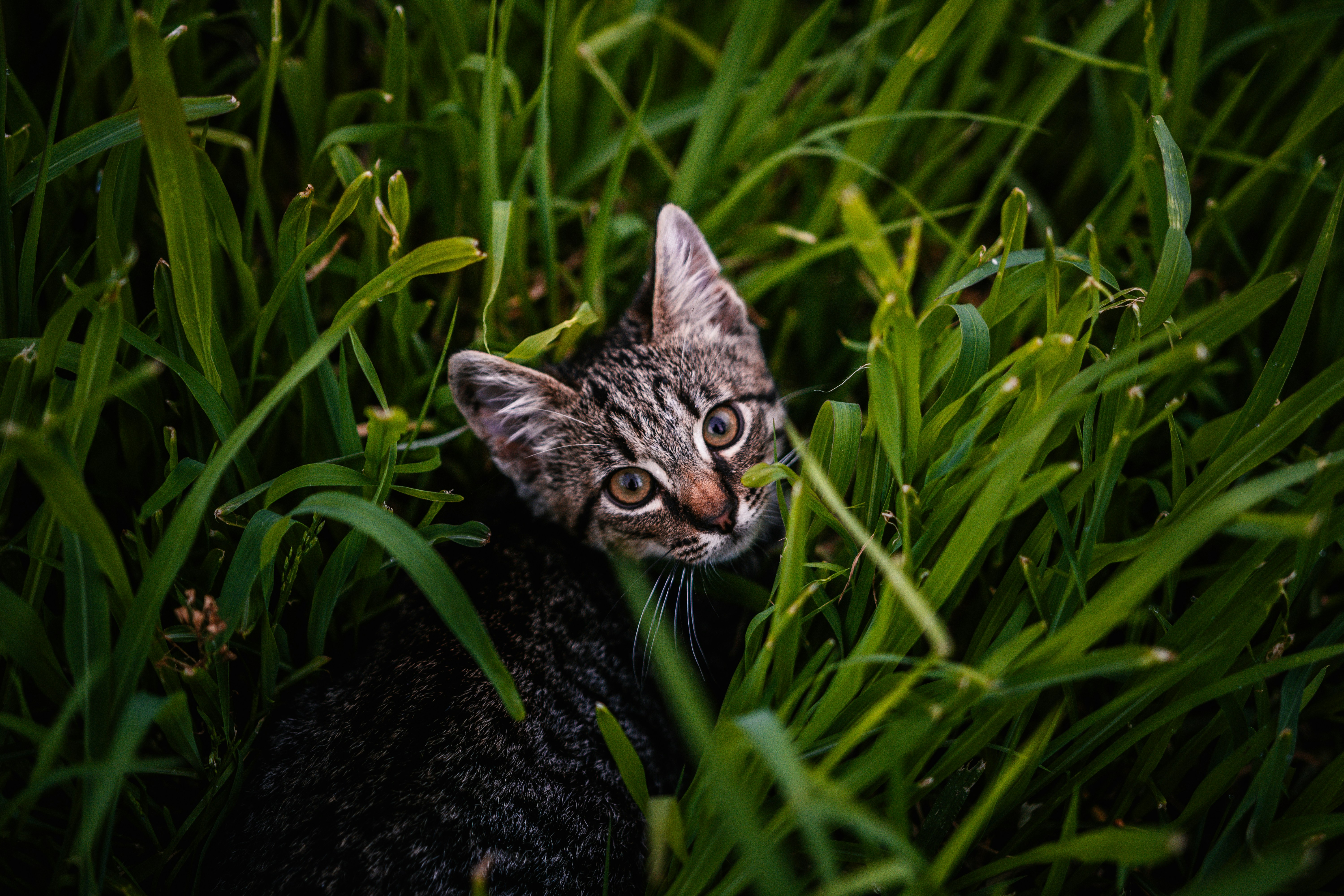 Photo by gabriel0203