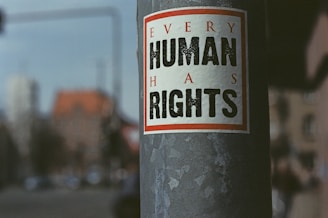 every human has rights