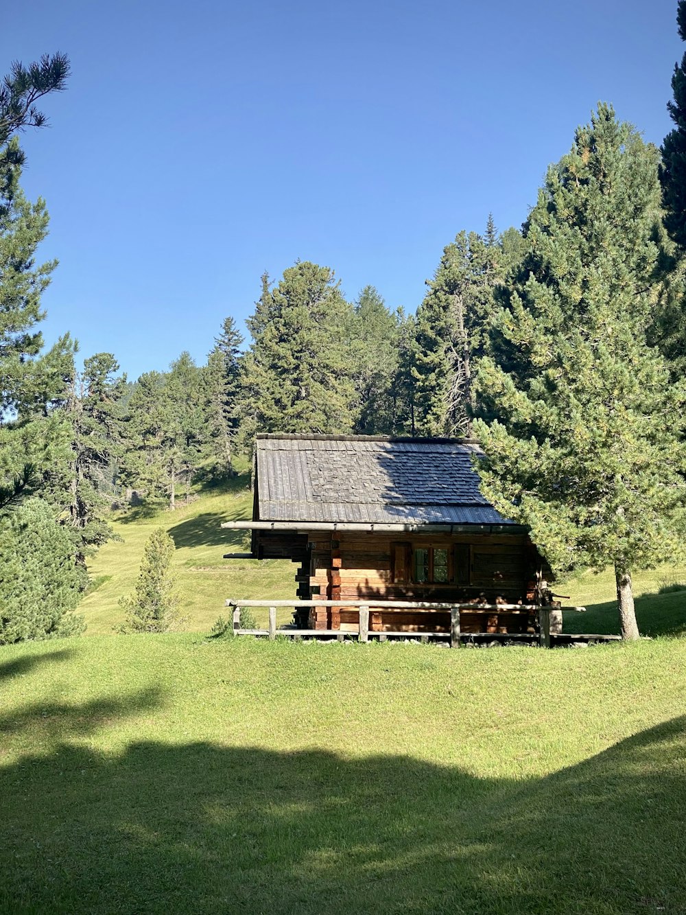 brown wooden house on green grass field near green trees under blue sky during daytime